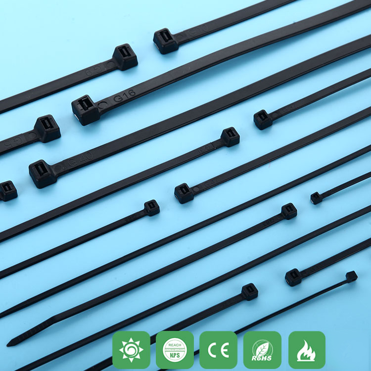 RCCN Cable Tie GCS